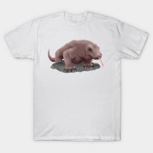 Komodo dragon illustration T-Shirt